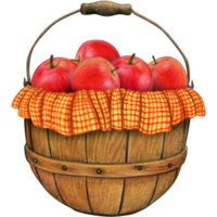 watercolor hand drawn realistic apples png