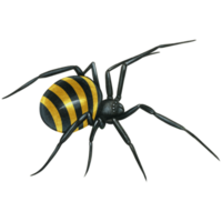 watercolor hand drawn realistic venomous spider png