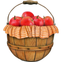 watercolor hand drawn realistic apples png