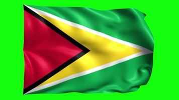 3d bandeira animação do Guiana em verde tela video