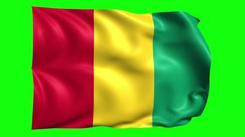 3d bandeira animação do Guiné em verde tela video