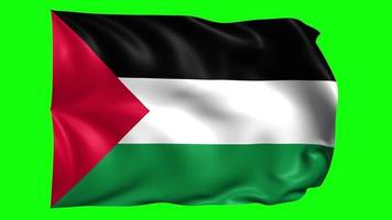 3d Animé Palestine drapeau sur vert écran video