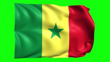 3d animado Senegal bandeira em verde tela video