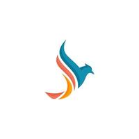 Colorful bird logo on white background vector