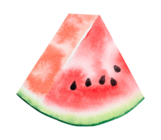 vattenmelon skiva vattenfärg png