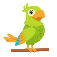 Green parrot bird standing on branch. Flat cartoon character isolated on white. vector