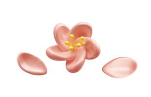 Cherry Blossom Sakura emoji illustration. Simple and cute petal. 3d illustration png