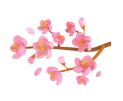 3d ikon framställa vår körsbär blomma sakura gren illustration. enkel och söt kronblad isolerat transparent png