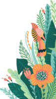 floral frontière. tropical illustration. png