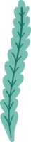 Naturel élément. feuille. illustration png