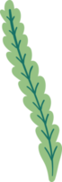 Natural element. Leaf. Illustration png