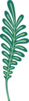 Naturel élément. feuille. illustration png