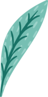 Naturel élément. feuille. illustration png