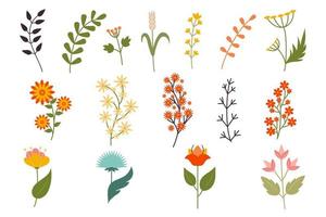 Big set of wildflowers and herbs. Flowers, botanical elements. Hand drawn grass. Thin branches of plants, trees. Floral Herb Design elements. Spring botanical vector illustration