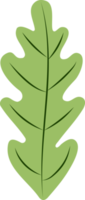 grönt blad isolerat png