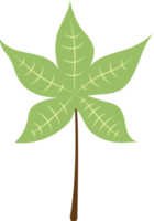 folha verde isolada png