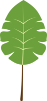 groen blad geïsoleerd png