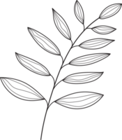 botanisk linjekonst png