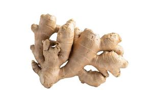 Ginger rhizome isolated on white background, herb vegetable food in Asia. photo