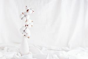 A branch of cotton in a vase on a white cloth. Concept white on white. Home interior. Copy space photo