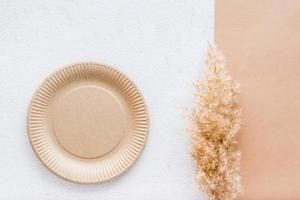 The concept of eco-friendly utensils for food. Cardboard plate and dry grass on plaster and cardboard background. Top view. photo