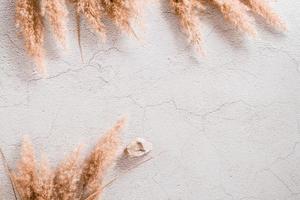 Eco texture background. Fluffy grass and stone on plaster. Top view. photo