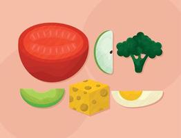 six healthy ingredients vector