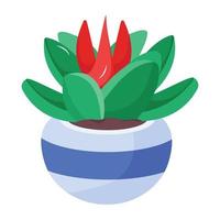 Trendy Succulent Plant vector