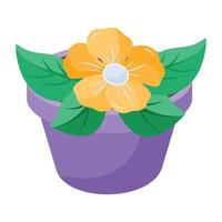 Trendy Yellow Primula vector