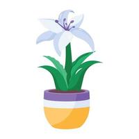 Trendy Lily Flower vector