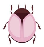 colored beetle design vector