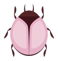 colored beetle design vector