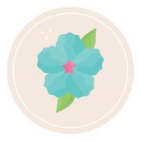 flower highlight design vector