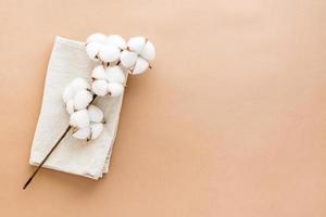 A branch of cotton on a folded fabric on a beige background. Natural background. Top view. Copy space photo