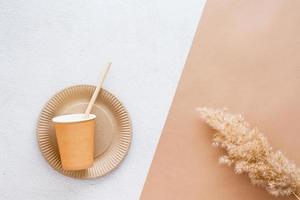 The concept of eco-friendly utensils for food. Cardboard plate, cup and drinking straw on a two-tone background. Top view. photo