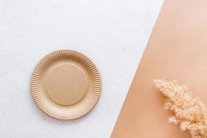 The concept of eco-friendly utensils for food. A cardboard plate and an ear of grass on a two-tone background. Top view. photo