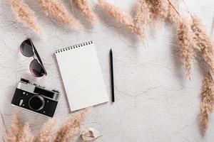 Flat lay concept travel. Notepad, pencil, vintage camera and sunglasses surrounded by grass on a textured concrete background. photo