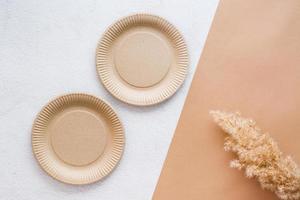 The concept of eco-friendly utensils for food. A pair of cardboard plates and an ear of grass on a two-tone background. Top view. photo