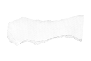 White torn paper isolated on a transparent background png