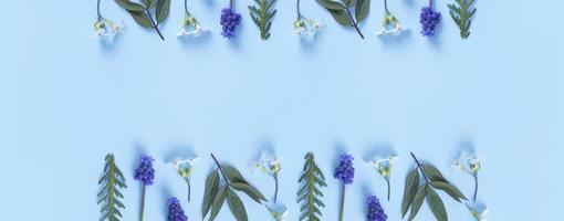 Banner made from flowers and leaves flat lay on colored background. Spring banner with copy spacet photo