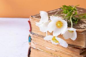 Anemones flower bouquet and vintage books. Spring,  Mother's Day still life composition photo