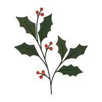 christmas mistletoe plant vector