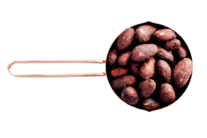 Brown nuts in a cup isolated on a transparent background png