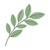 leaves branch design vector