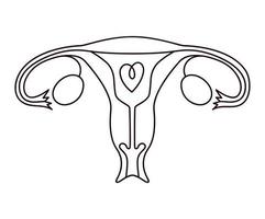 pink uterus icon vector