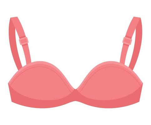 https://static.vecteezy.com/system/resources/thumbnails/021/398/286/small_2x/pink-bra-illustration-free-vector.jpg