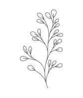 classical branch design vector