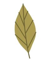 green leaf design vector