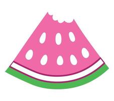 pink watermelon illustration vector