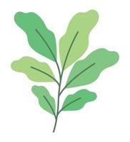 plant with leaves vector